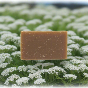 Travel Soap Bar - Sea Fennel and Bayberry