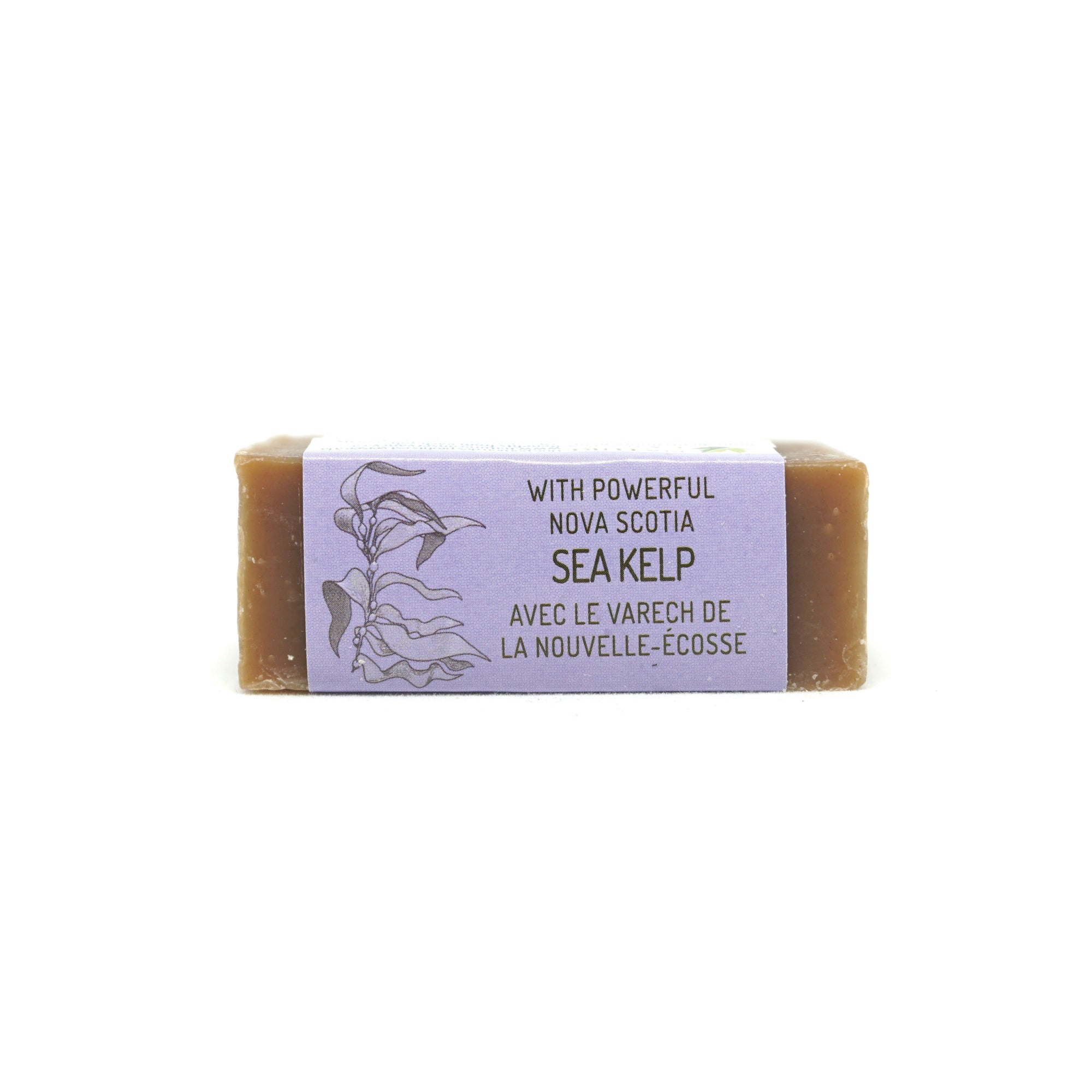 Hand & Face Soap Bar - Sea Fennel and Bayberry - Nova Scotia Fisherman Sea Kelp Skincare 